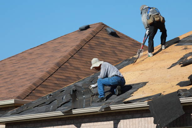 Best Skylight Installation and Repair  in Georgetown, GA