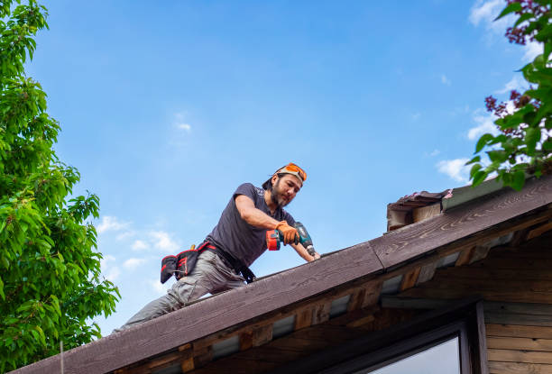 Best Steel Roofing  in Georgetown, GA